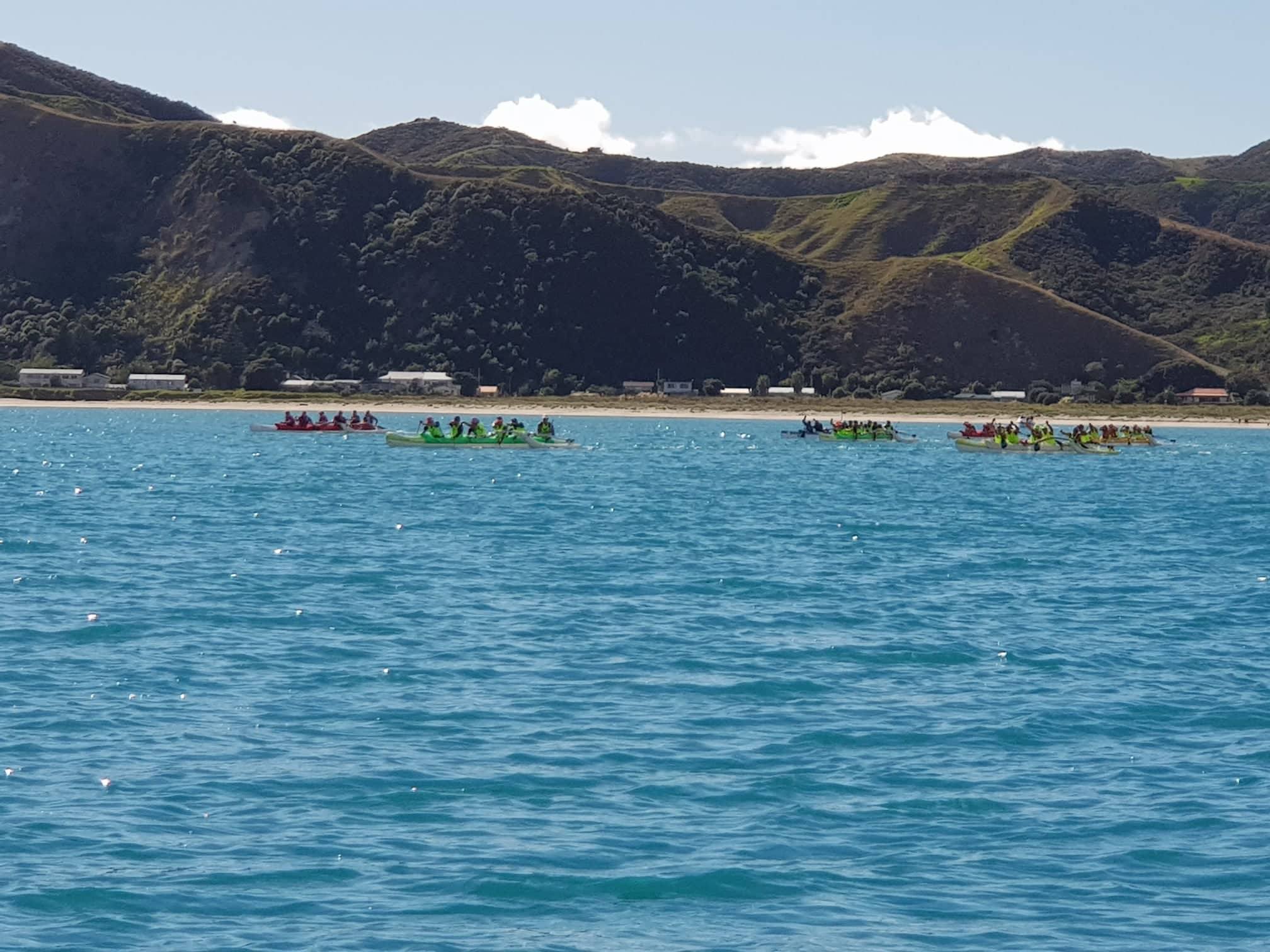 Mokotahi Hoe 2019